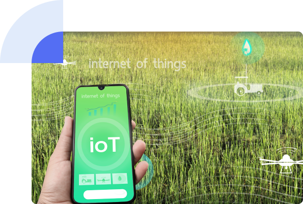 IoT App Development